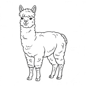 Kleurplaat Alpaca Dier