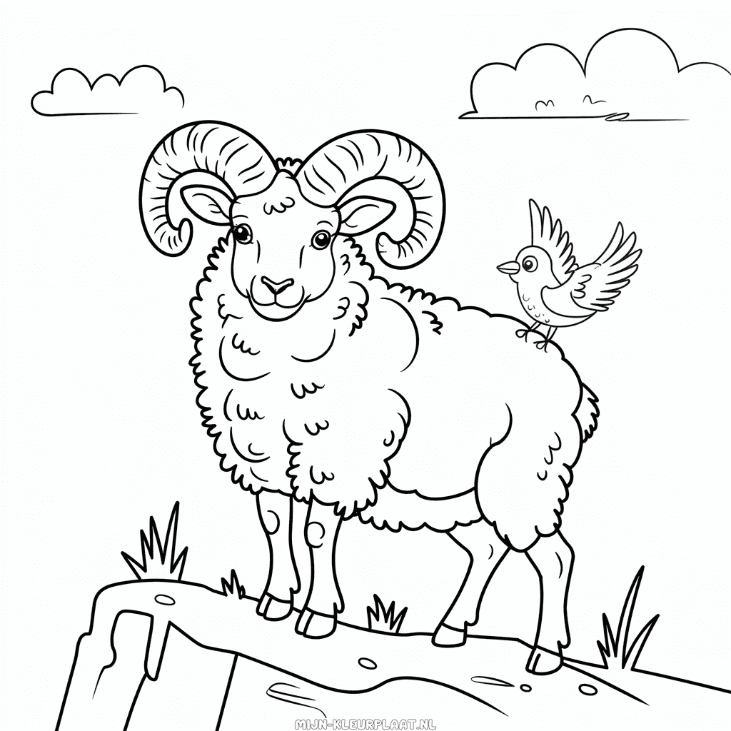 Kleurplaat Bighoorn Schaap