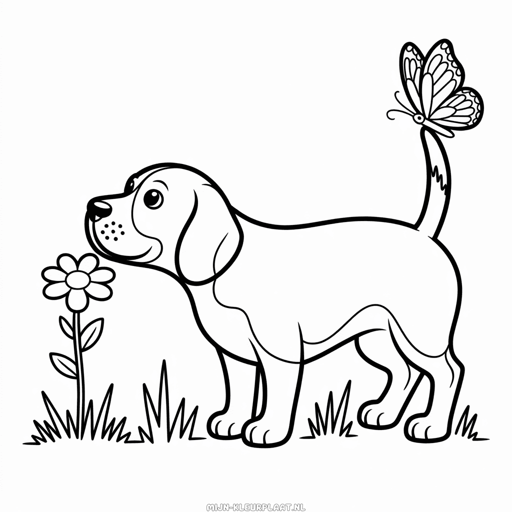 Kleurplaat Beagle Hond