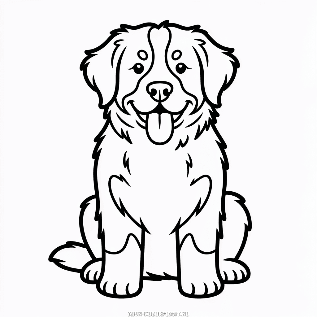 Kleurplaat Berner Sennenhond