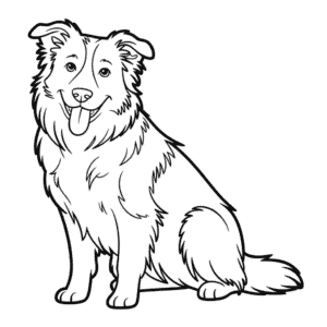 Kleurplaat Border Collie Hond