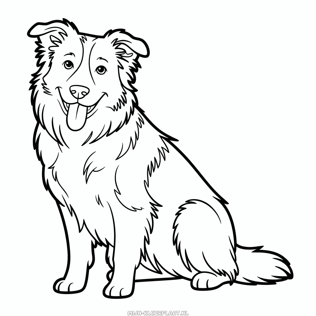 Kleurplaat Border Collie Hond