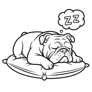Kleurplaat Bulldog