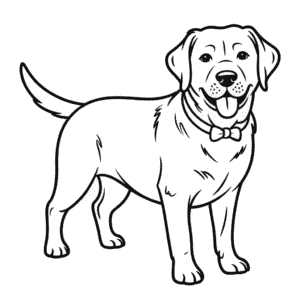 Kleurplaat Zwarte Labrador Hond