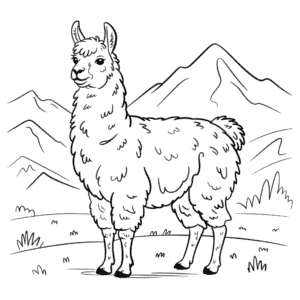Kleurplaat Realistische Lama