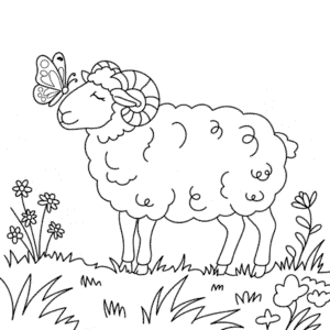 Kleurplaat Volwassen Schaap