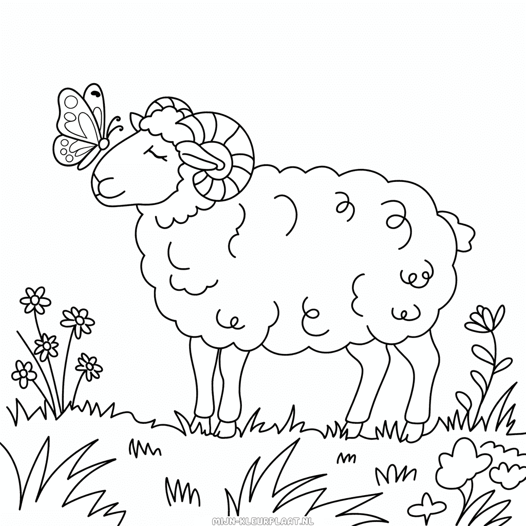 Kleurplaat Volwassen Schaap
