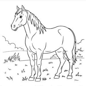 Kleurplaat Echte Paard