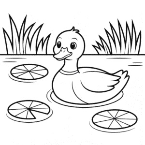 Kleurplaat Eendenvijver
