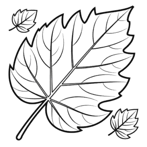 Kleurplaat Herfstblad
